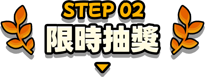 STEP 02 限时抽奖